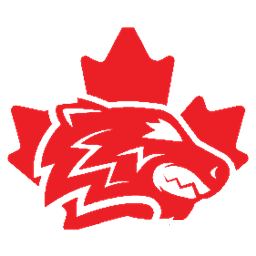 The Wolverines Logo